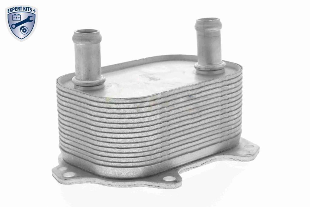 Radiateur d'huile moteur (Refroidisseur d'huile moteur) VEMO V15-60-6091