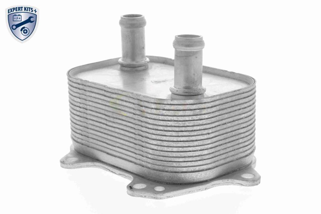 Radiateur d'huile moteur (Refroidisseur d'huile moteur) VEMO V15-60-6091