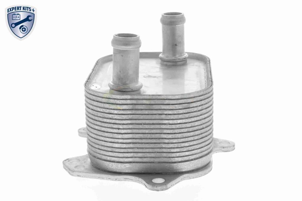 Radiateur d'huile moteur (Refroidisseur d'huile moteur) VEMO V15-60-6091