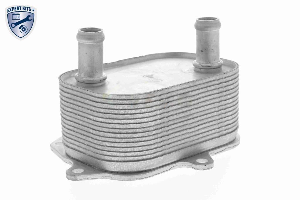 Radiateur d'huile moteur (Refroidisseur d'huile moteur) VEMO V15-60-6091