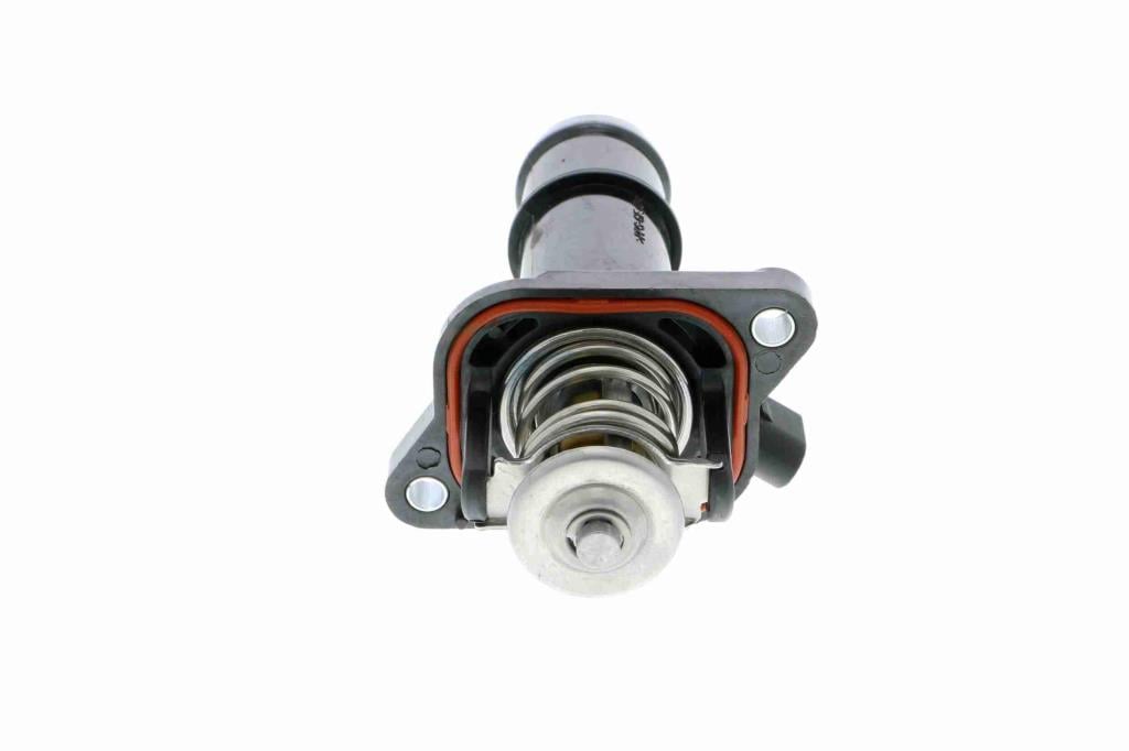 Thermostat d'eau (Calorstat) VEMO V15-99-1903-1