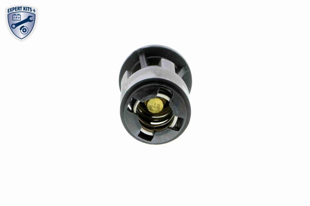 Thermostat d'eau (Calorstat) VEMO ref. V15-99-2019