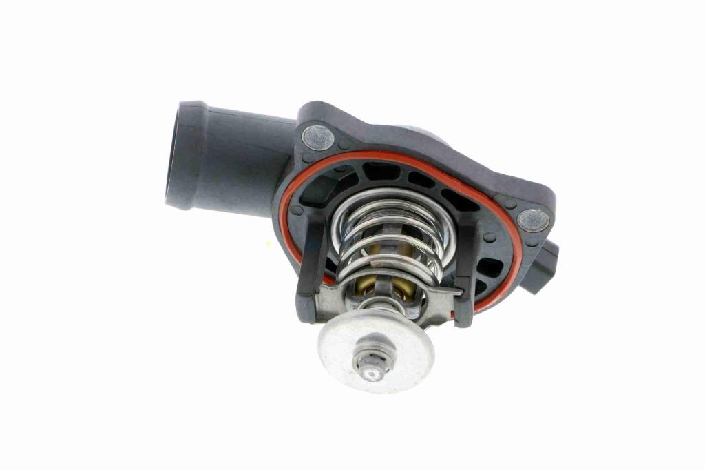 Thermostat d'eau (Calorstat) VEMO ref. V15-99-2020
