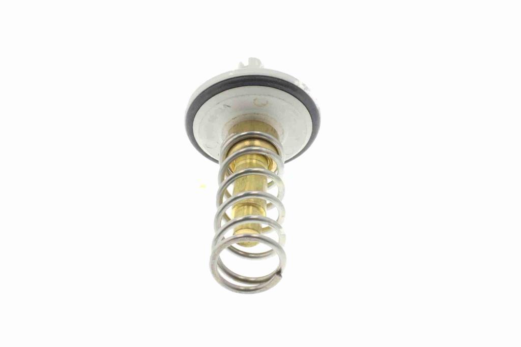 Thermostat d'eau (Calorstat) VEMO V15-99-2039