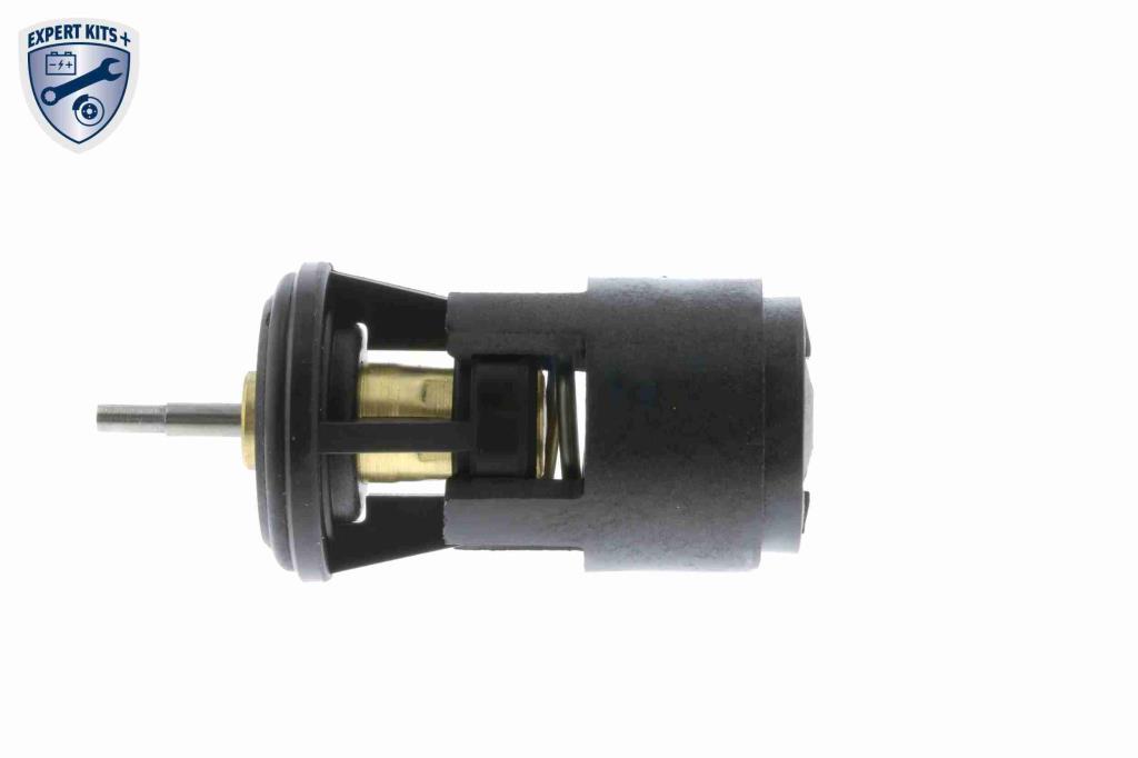Thermostat d'eau (Calorstat) VEMO V15-99-2041