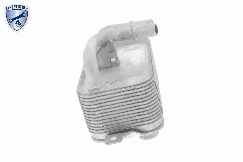 Radiador óleo motor VEMO ref. V20-60-0001