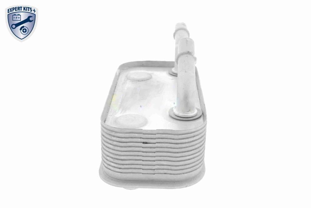 Radiateur d'huile moteur (Refroidisseur d'huile moteur) VEMO V20-60-0002