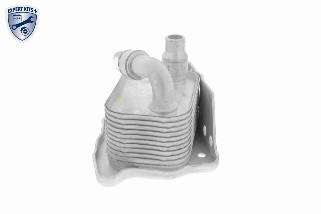 Radiador óleo motor VEMO ref. V20-60-0031