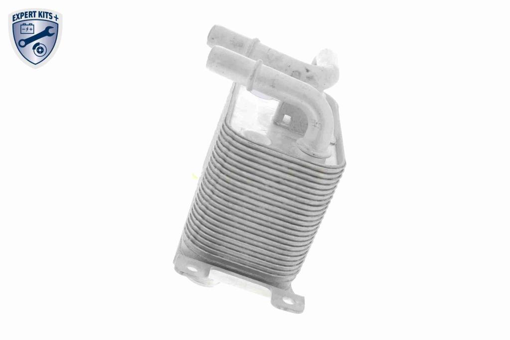 Radiador óleo motor VEMO ref. V20-60-0032
