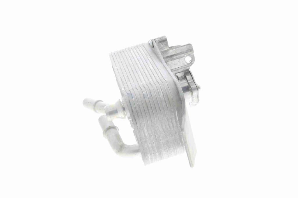 Radiateur d'huile moteur (Refroidisseur d'huile moteur) VEMO V20-60-0040