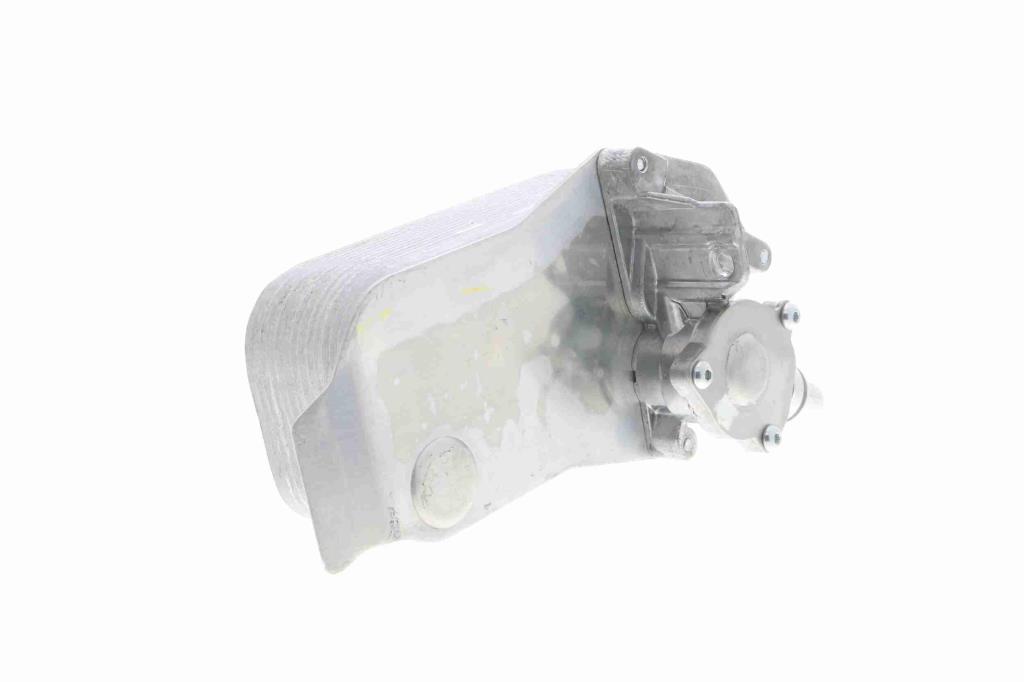 Radiateur d'huile moteur (Refroidisseur d'huile moteur) VEMO V20-60-0040