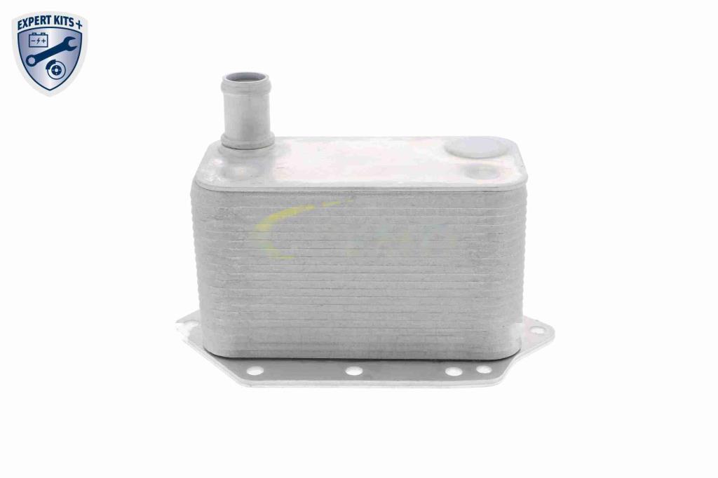 Radiateur d'huile moteur (Refroidisseur d'huile moteur) VEMO V20-60-0042