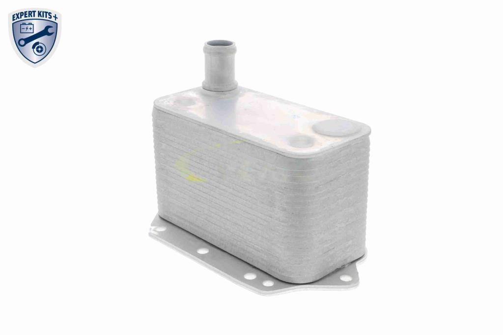 Radiateur d'huile moteur (Refroidisseur d'huile moteur) VEMO V20-60-0042