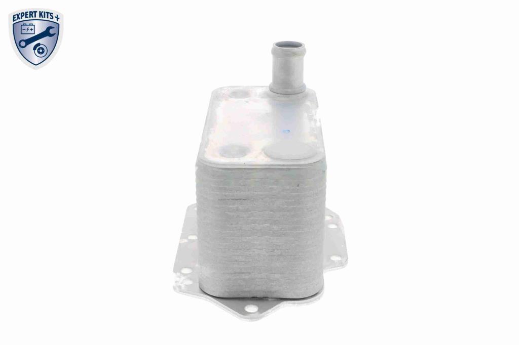 Radiateur d'huile moteur (Refroidisseur d'huile moteur) VEMO V20-60-0042