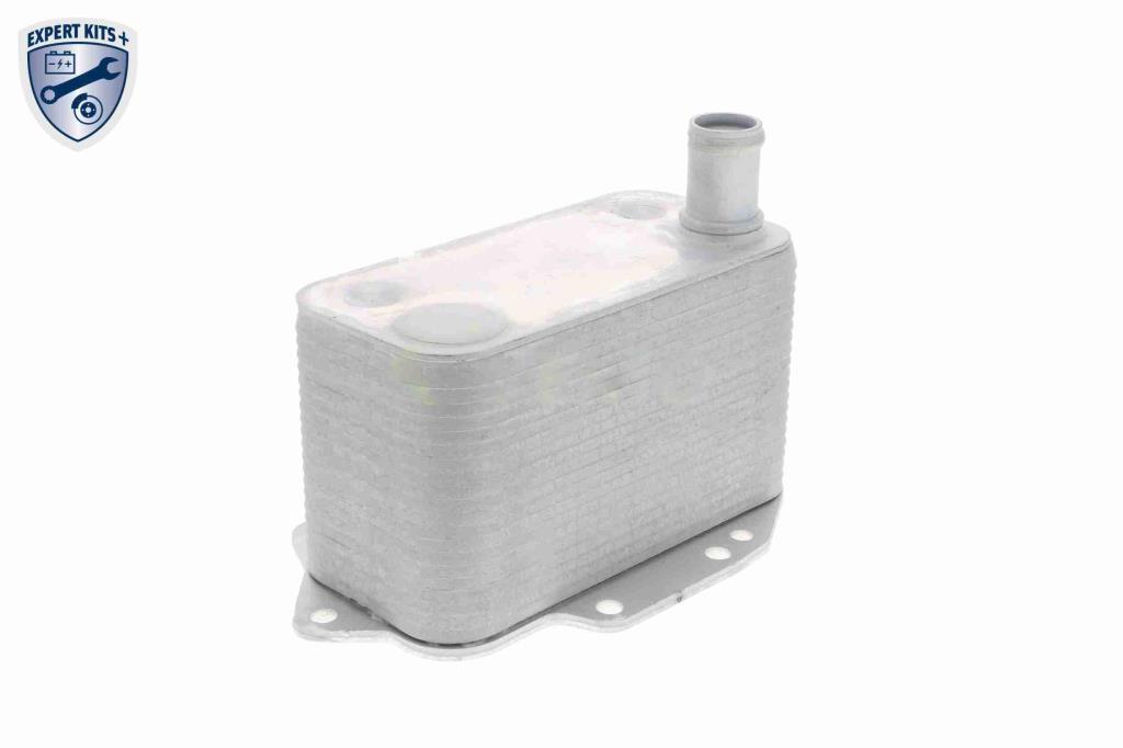 Radiateur d'huile moteur (Refroidisseur d'huile moteur) VEMO V20-60-0042