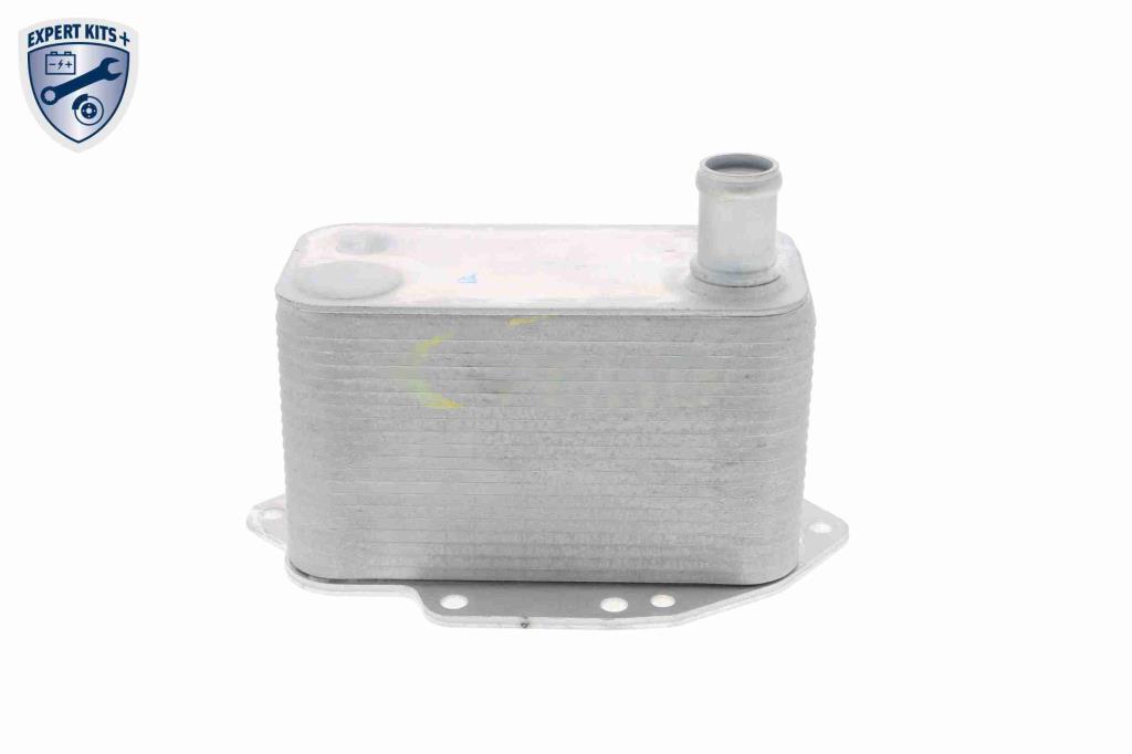 Radiateur d'huile moteur (Refroidisseur d'huile moteur) VEMO V20-60-0042