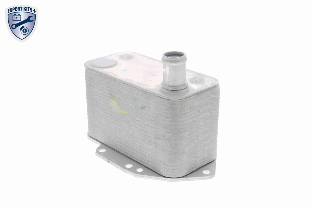 Radiateur d'huile moteur (Refroidisseur d'huile moteur) VEMO V20-60-0042