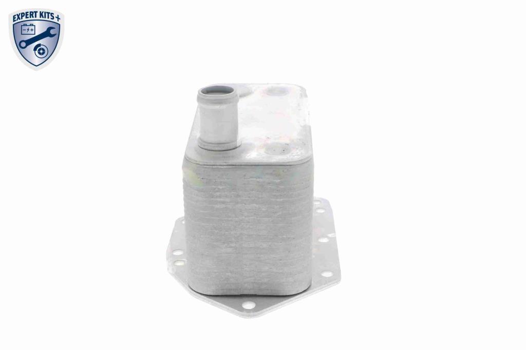 Radiateur d'huile moteur (Refroidisseur d'huile moteur) VEMO V20-60-0042