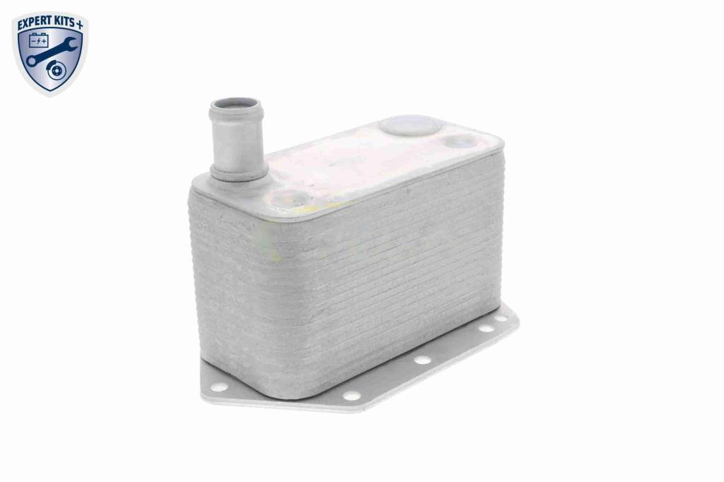 Radiateur d'huile moteur (Refroidisseur d'huile moteur) VEMO V20-60-0042