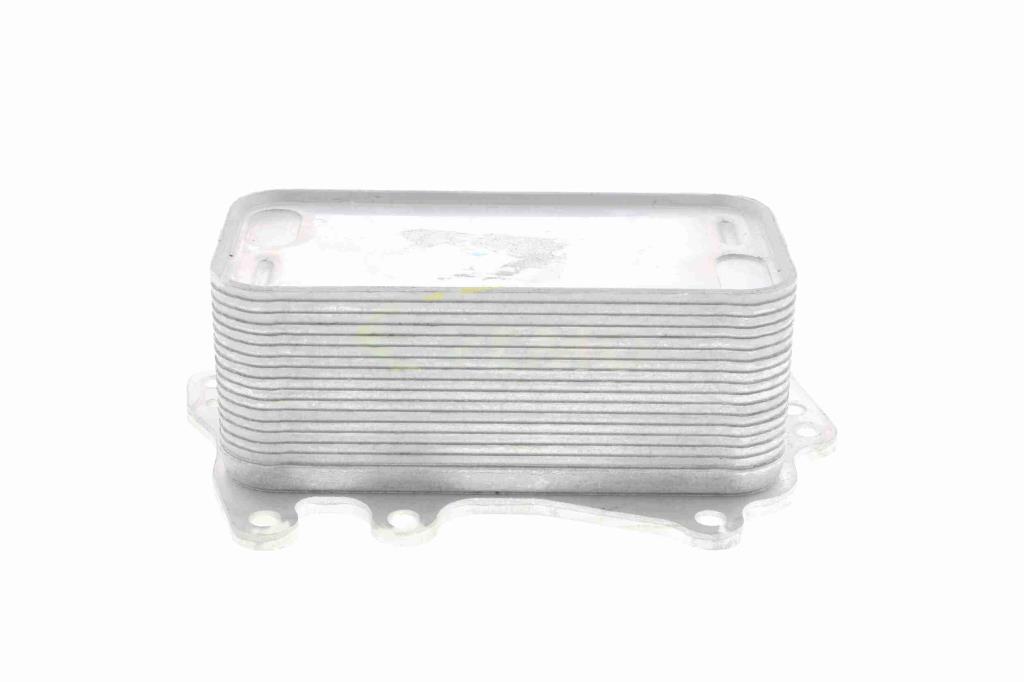 Radiateur d'huile moteur (Refroidisseur d'huile moteur) VEMO V20-60-0044