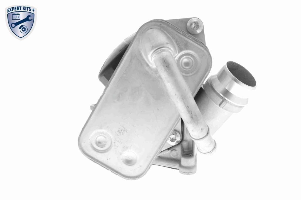 Radiateur d'huile moteur (Refroidisseur d'huile moteur) VEMO V20-60-0045-1