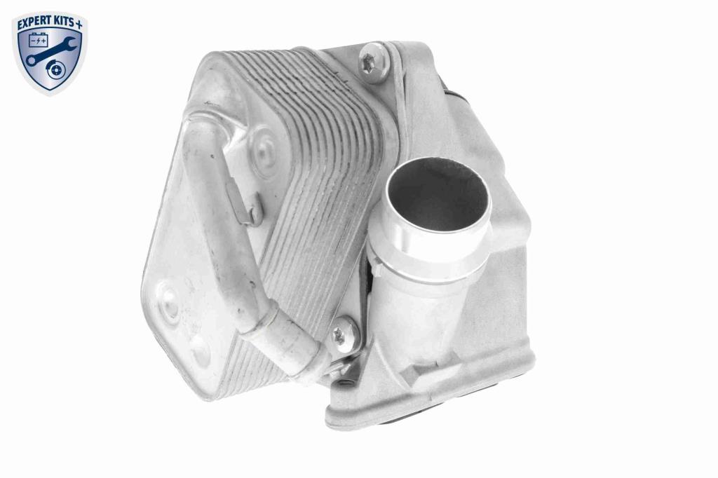 Radiateur d'huile moteur (Refroidisseur d'huile moteur) VEMO V20-60-0045-1
