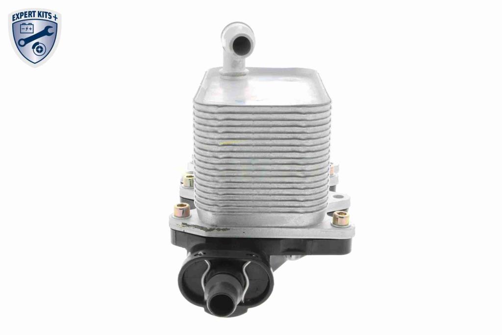 Radiador óleo motor VEMO ref. V20-60-0046