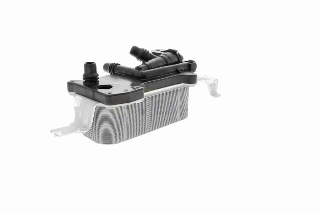 Radiador óleo motor VEMO ref. V20-60-0052
