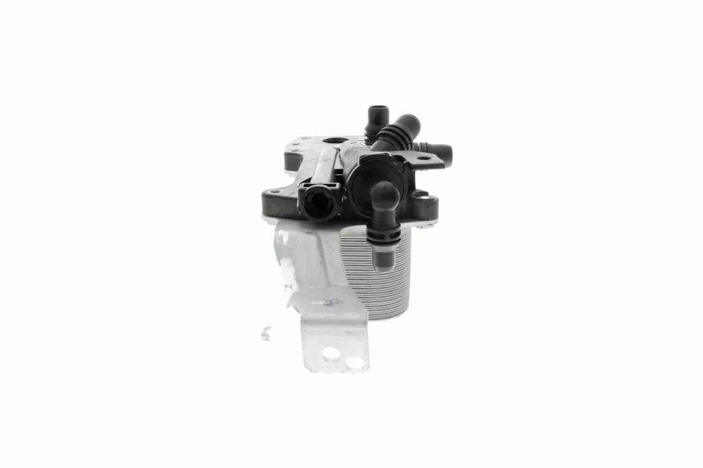 Radiador óleo motor VEMO ref. V20-60-0052