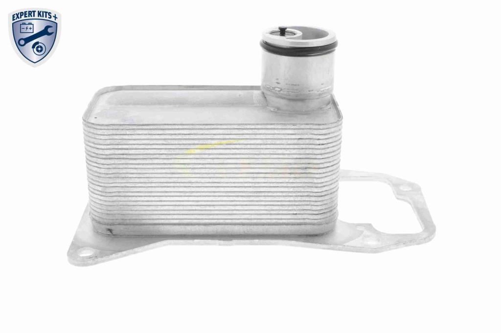 Radiador óleo motor VEMO ref. V20-60-0056