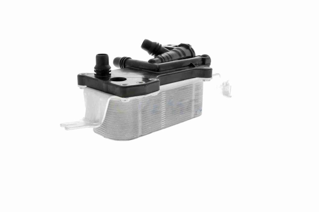 Radiador óleo motor VEMO ref. V20-60-0058