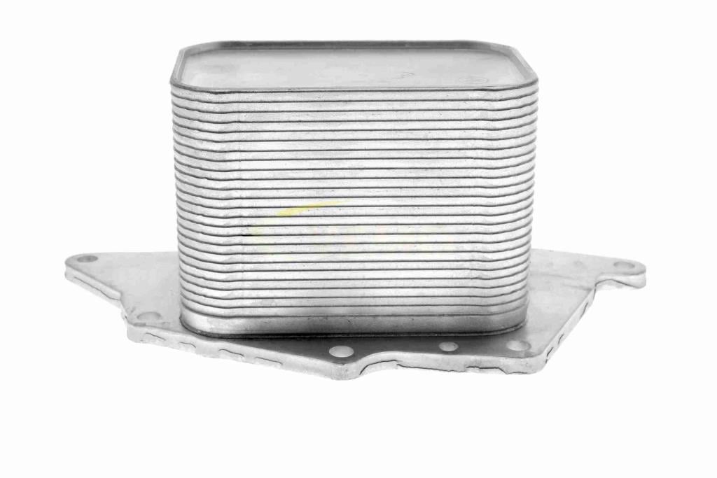 Radiateur d'huile moteur (Refroidisseur d'huile moteur) VEMO V20-60-1554
