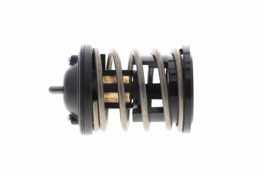 Thermostat d'eau (Calorstat) VEMO V20-99-0169