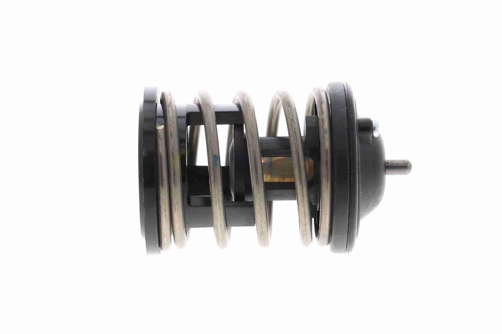 Thermostat d'eau (Calorstat) VEMO V20-99-0169