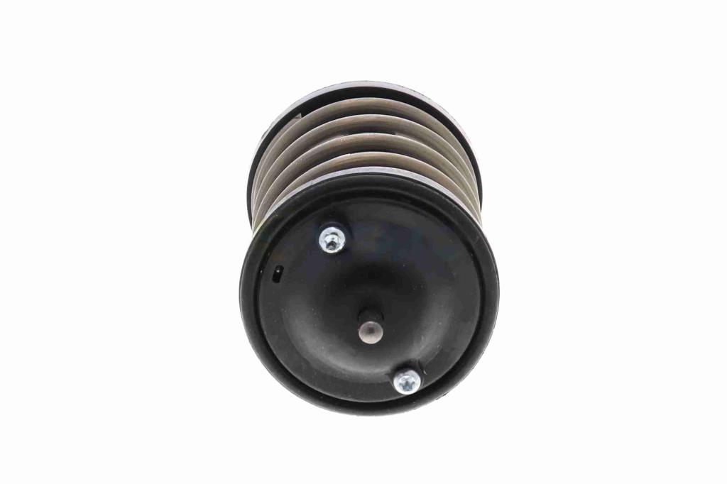 Thermostat d'eau (Calorstat) VEMO V20-99-0169