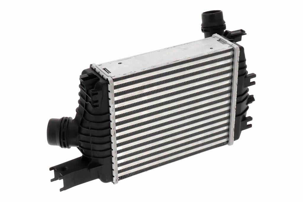 Intercooler, échangeur (Refroidisseur d'air) VEMO ref. V21-60-0005