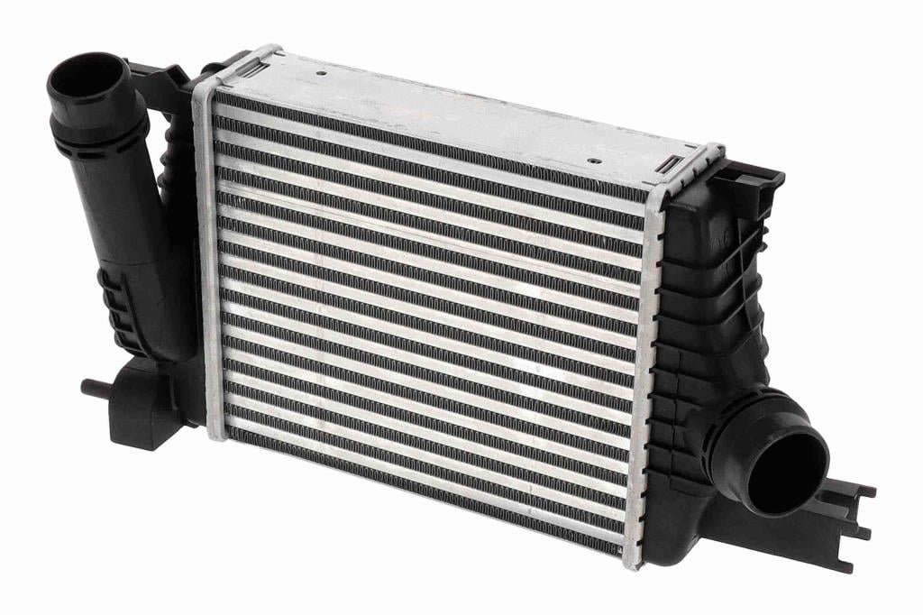 Intercooler, échangeur (Refroidisseur d'air) VEMO ref. V21-60-0005