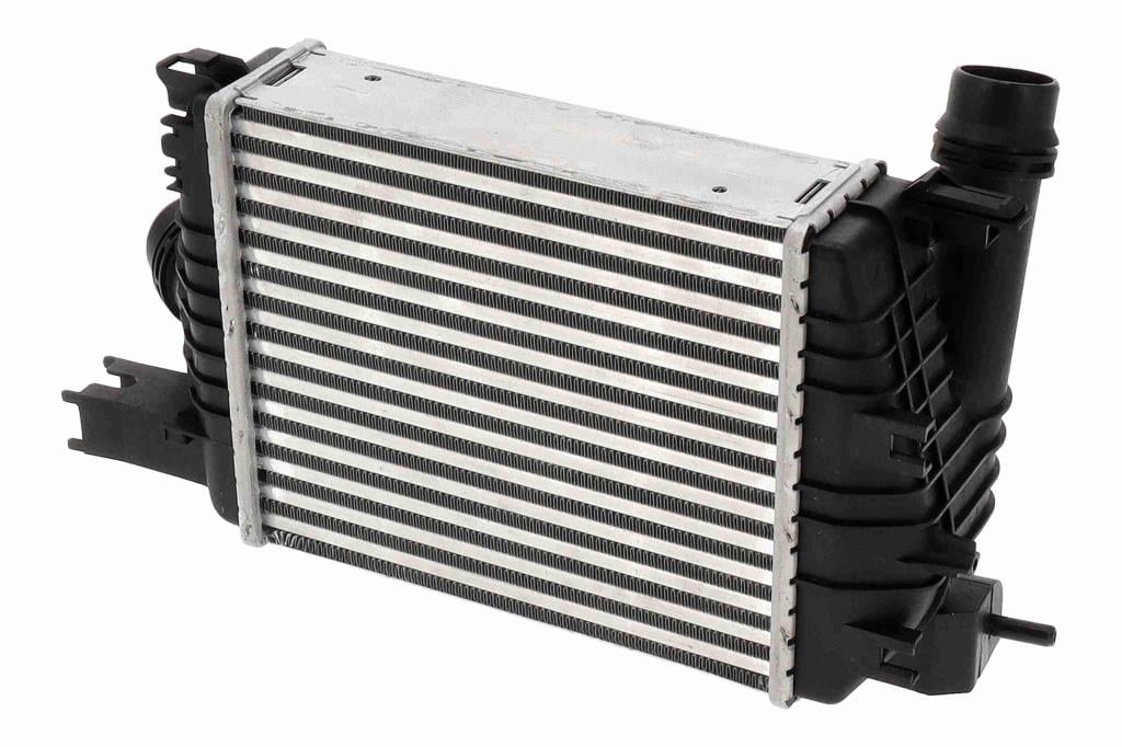 Intercooler, échangeur (Refroidisseur d'air) VEMO ref. V21-60-0005