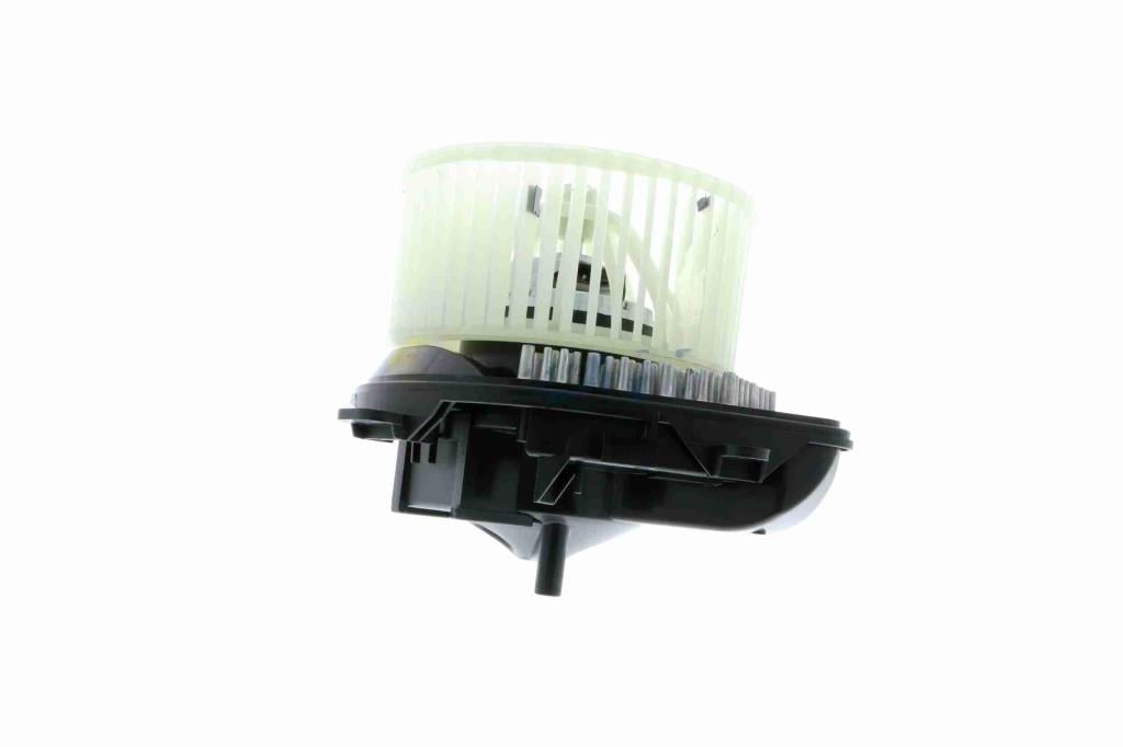 Pulseur d'air habitacle (Ventilateur habitacle) VEMO V22-03-1822