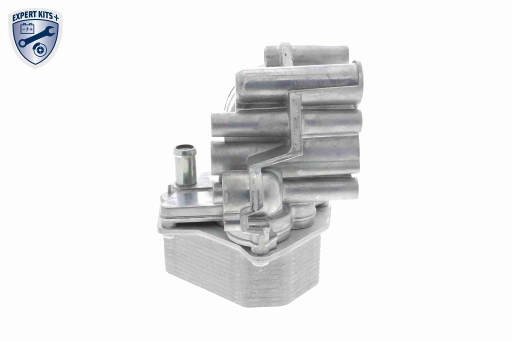 Radiador óleo motor VEMO ref. V22-60-0017