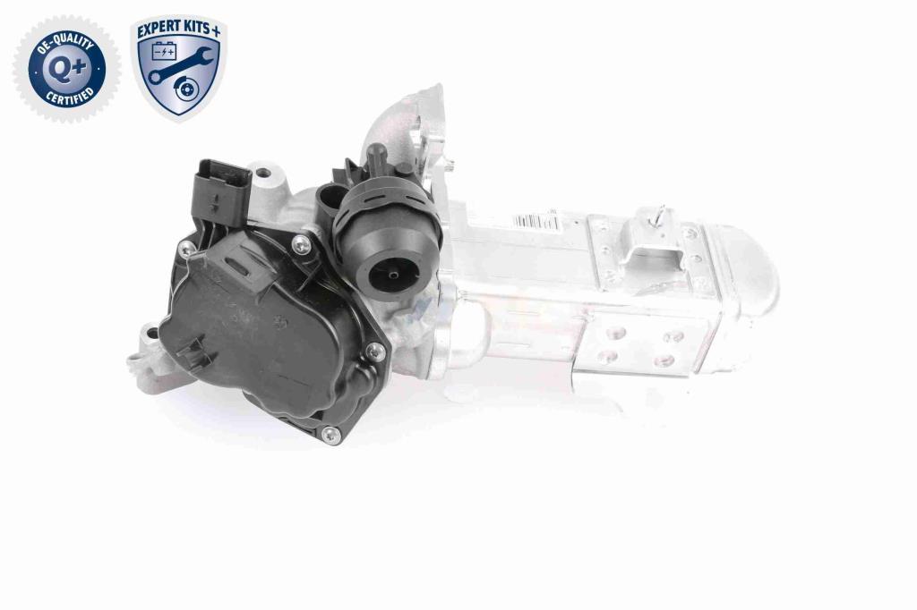 Module-EGR VEMO ref. V22-63-0004