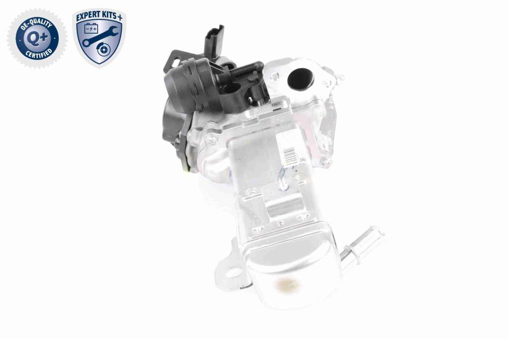 Module-EGR VEMO ref. V22-63-0004
