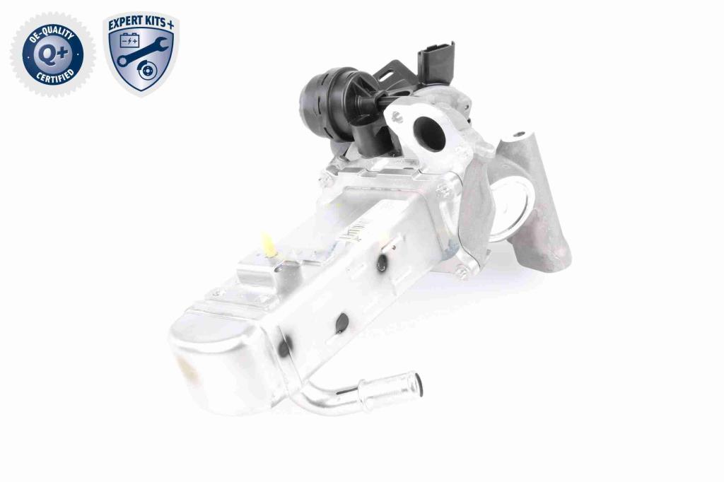 Module-EGR VEMO ref. V22-63-0004