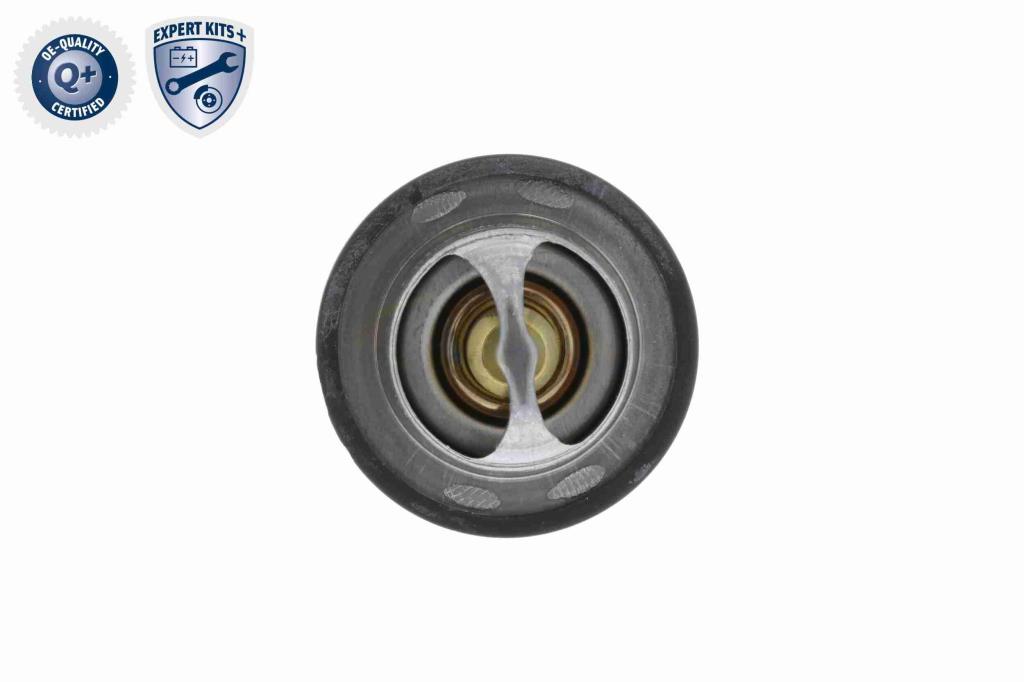 Thermostat d'eau (Calorstat) VEMO V22-99-0011
