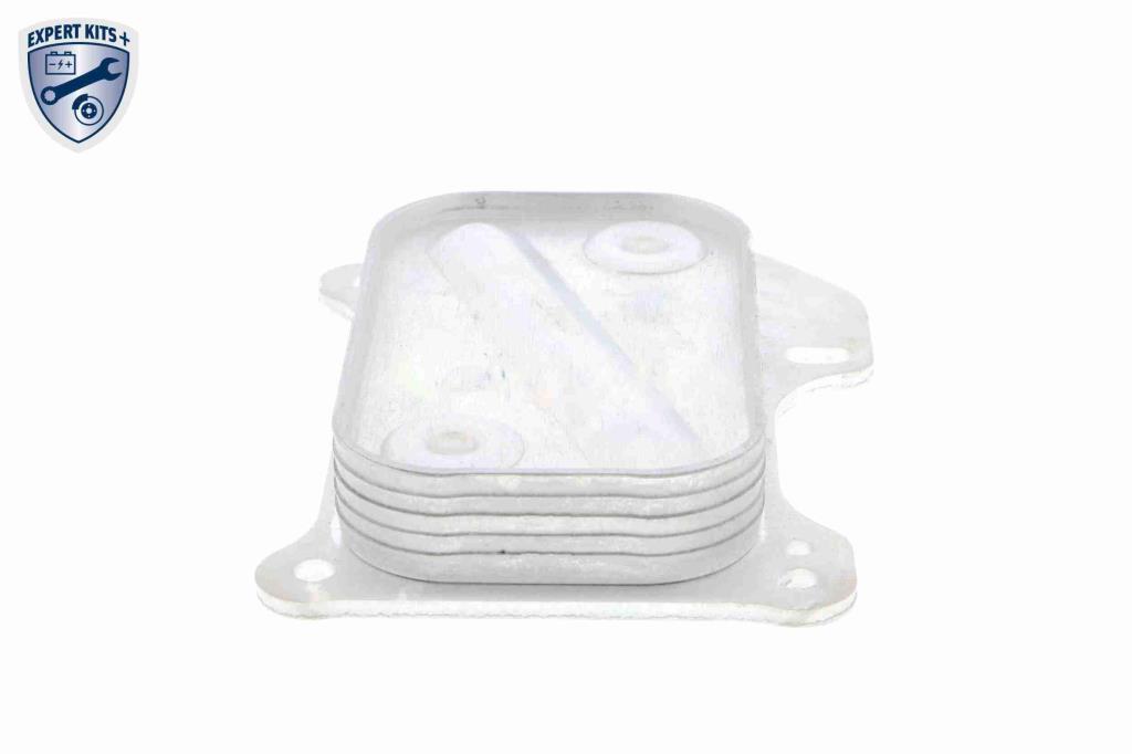 Radiador óleo motor VEMO ref. V24-60-0001