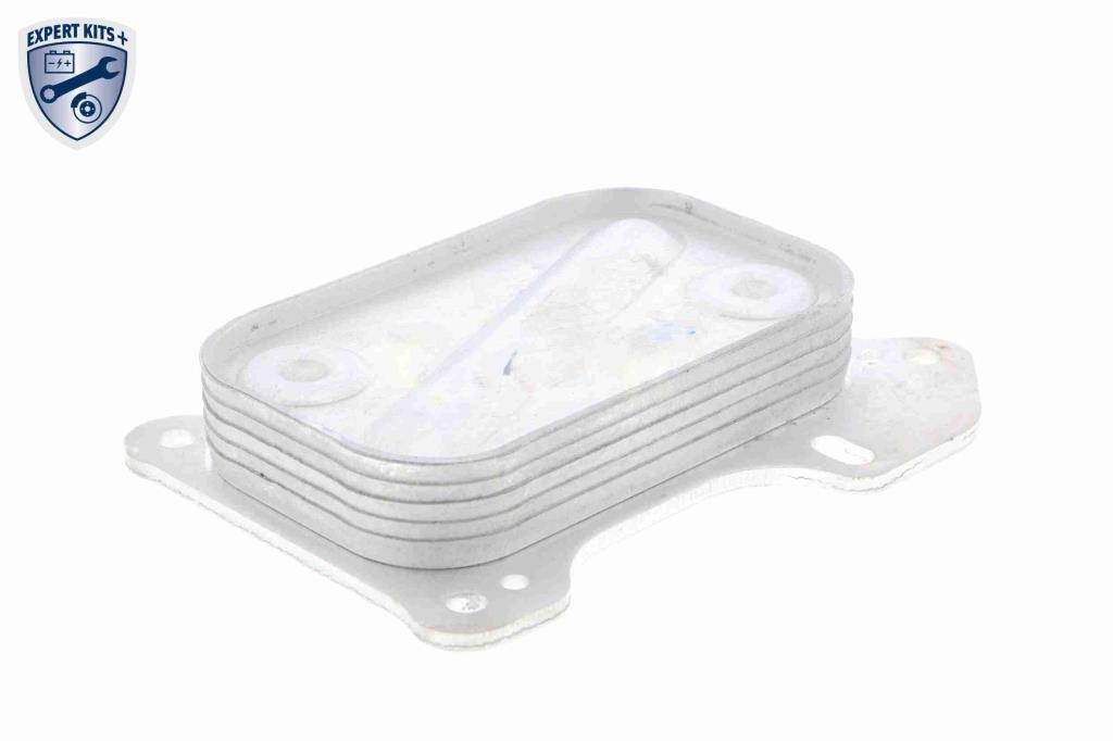 Radiador óleo motor VEMO ref. V24-60-0001