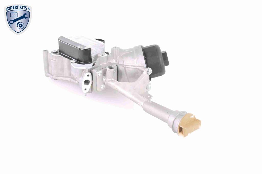 Radiador óleo motor VEMO ref. V24-60-0009