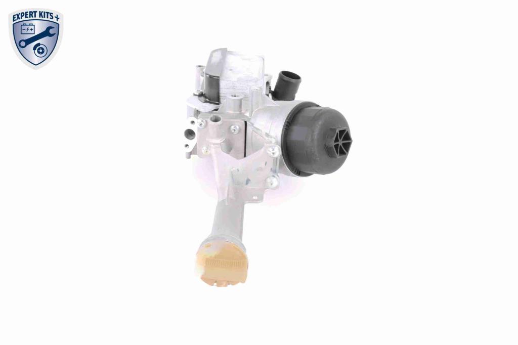 Radiador óleo motor VEMO ref. V24-60-0009