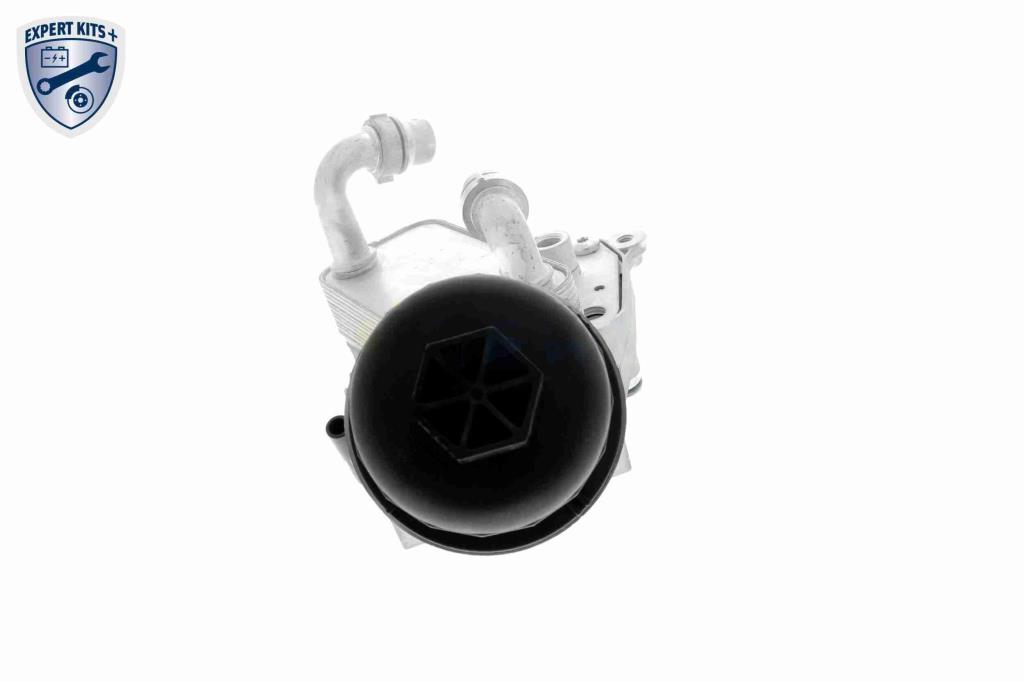 Radiador de aceite, aceite motor VEMO ref. V24-60-0010