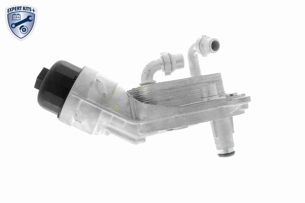 Radiador de aceite, aceite motor VEMO ref. V24-60-0010